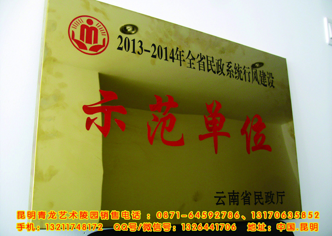 云南省民政系统行风建设示范单位