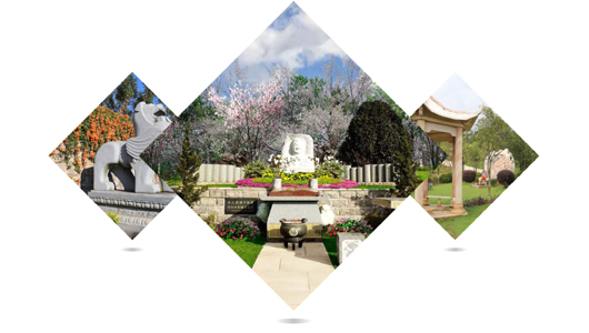 性价比高，价格实惠